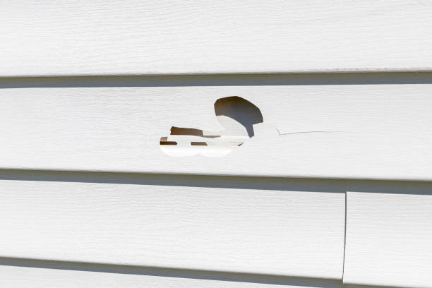 How To Choose The Right Materials for Your Siding Installation in 'Waller, TX